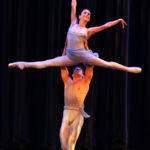 Spirits of the Forest