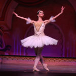 The Sugar Plum Fairy